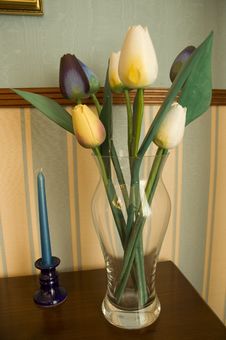 Fresh Tulips In The Vase Royalty Free Stock Photo