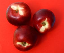 Red Nectarines Royalty Free Stock Images Red Nectarines Royalty Free Stock Images