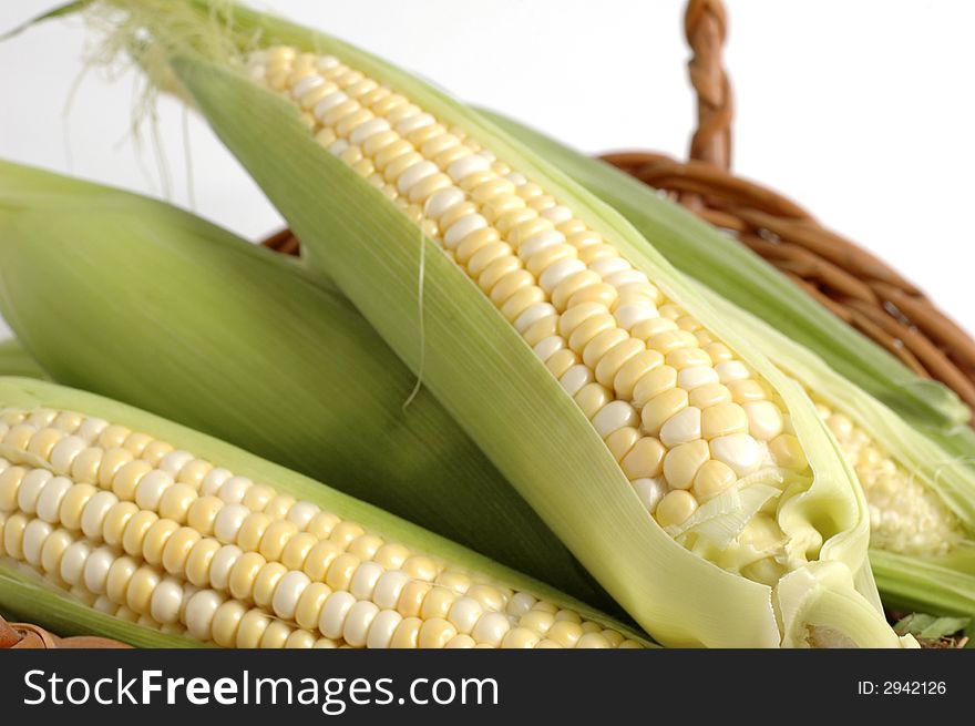 Fresh picked corn on the cob in basket. Fresh picked corn on the cob in basket.