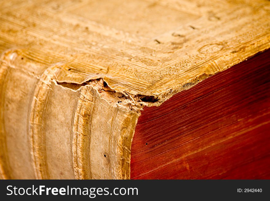 1610 Antique Book Detail 4