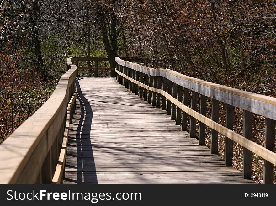 Wooden boardwalk through forest and marsh
