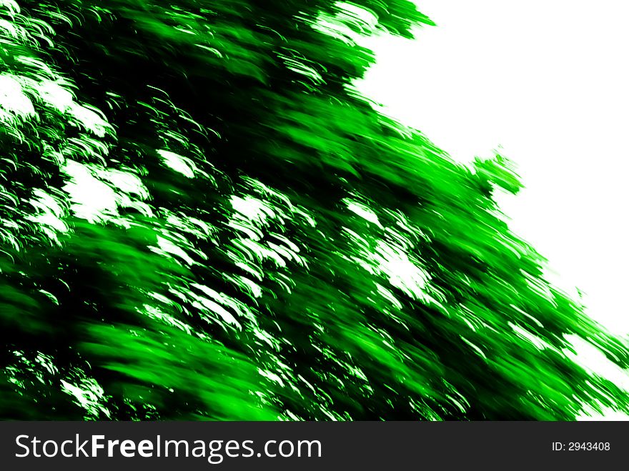 Green Texture 141