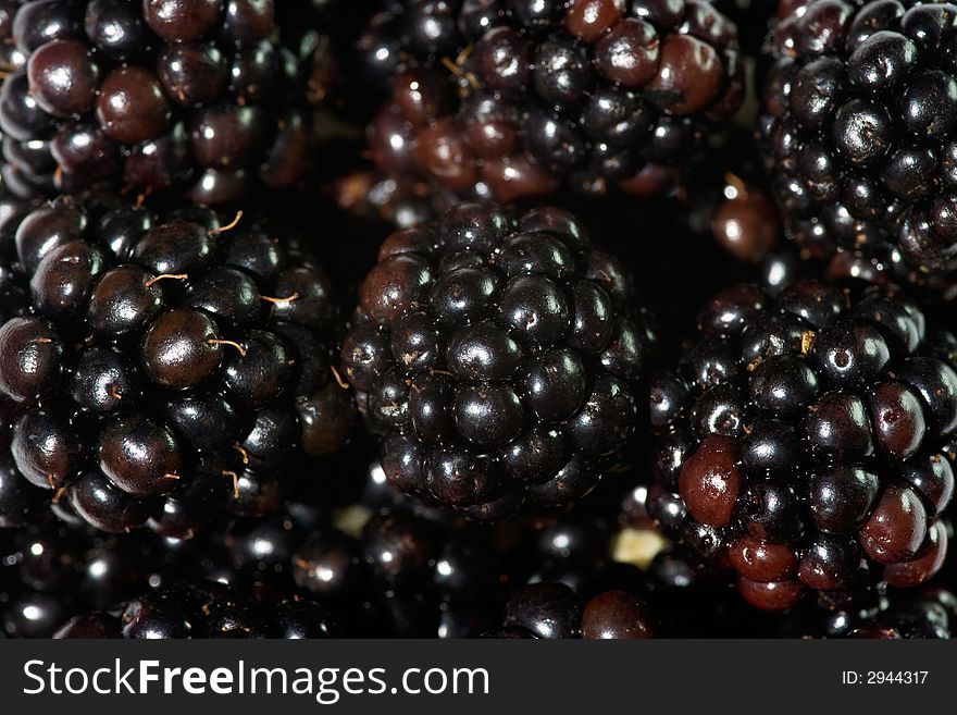 Closeup of many blackberries. Can be used as background. Closeup of many blackberries. Can be used as background.