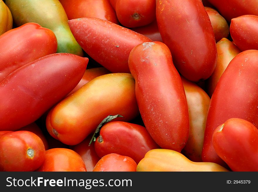 A bunch of freshly picked tomatoes. A bunch of freshly picked tomatoes