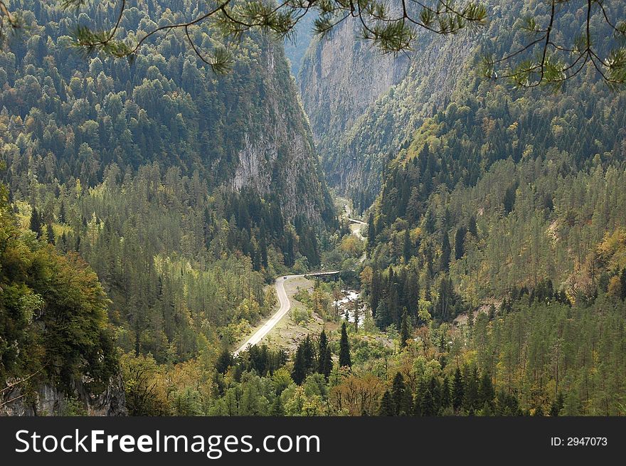 Road running through a forested mountain. Road running through a forested mountain