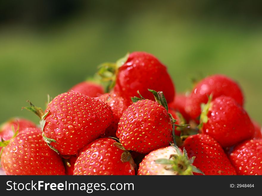 Close up view of some perfect strawberries in vivid colors.