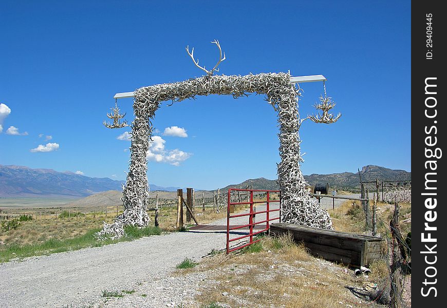 Gate made of horns in central and eastern Nevada. Gate made of horns in central and eastern Nevada.