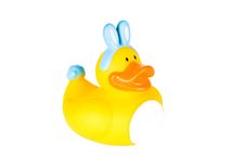 Rubber Ducky Boy Dressed As Easter Bunny Stock Images