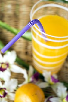 Close Up Drinking Straw Royalty Free Stock Photography