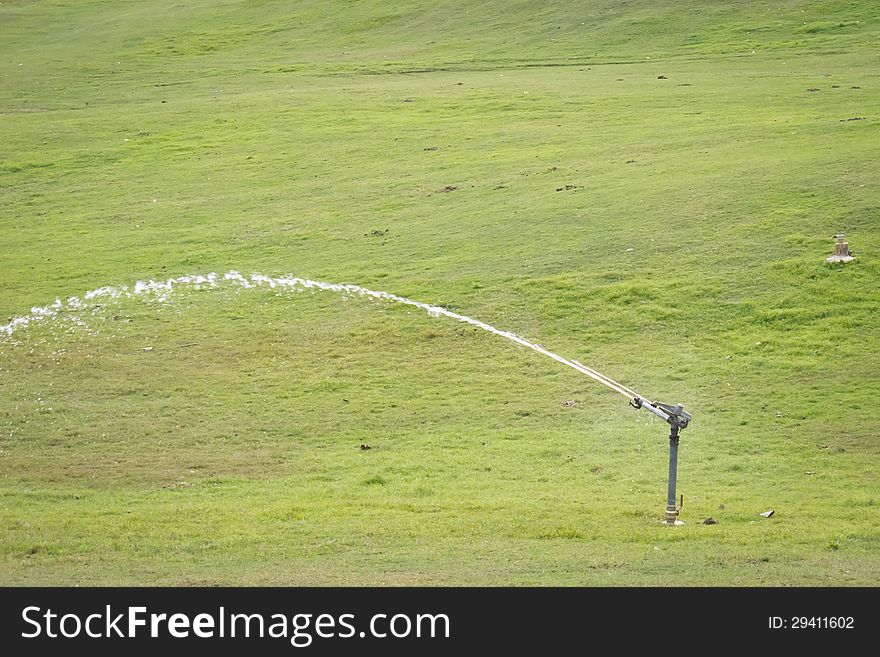 Water sprinkler in the green grass field