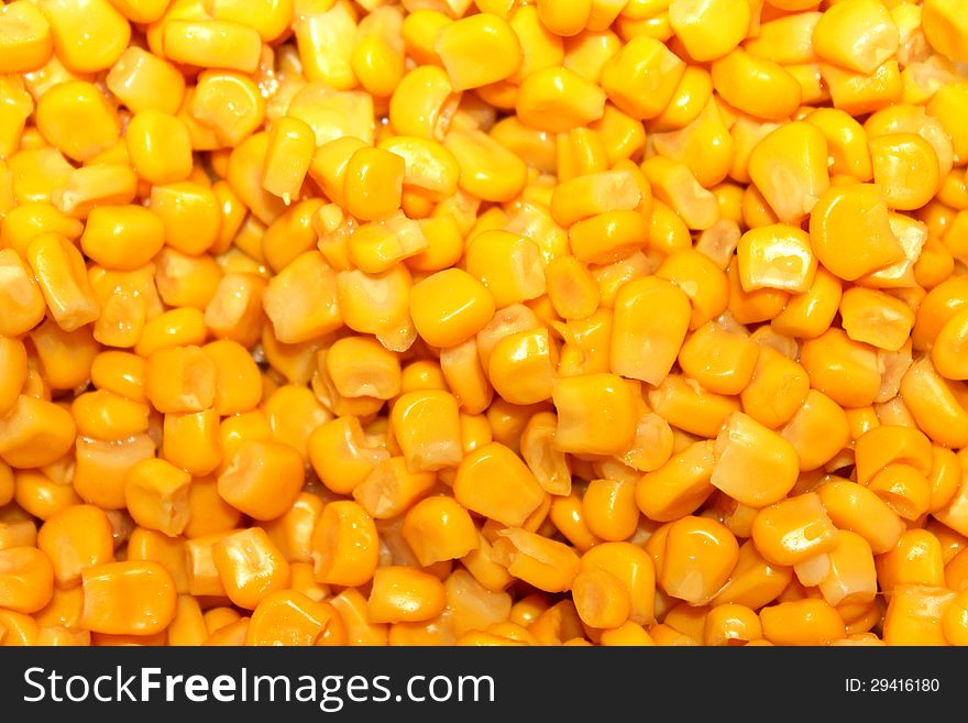 Background of grains of maize