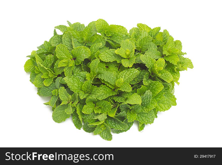 Peppermint isolated on white background