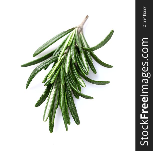 Rosemary spice in closeup on a white background. Rosemary spice in closeup on a white background