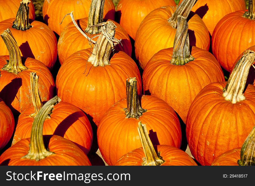 Orange pumpkins and a halloween display.