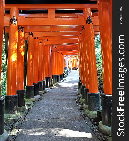 Thousand Torii Gates In Fushimi Inari Shrine, Kyoto, Japan