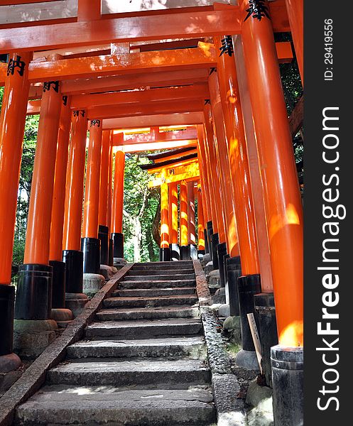 Tunnel of thousand torii gates in Fushimi Inari Shrine, Kyoto