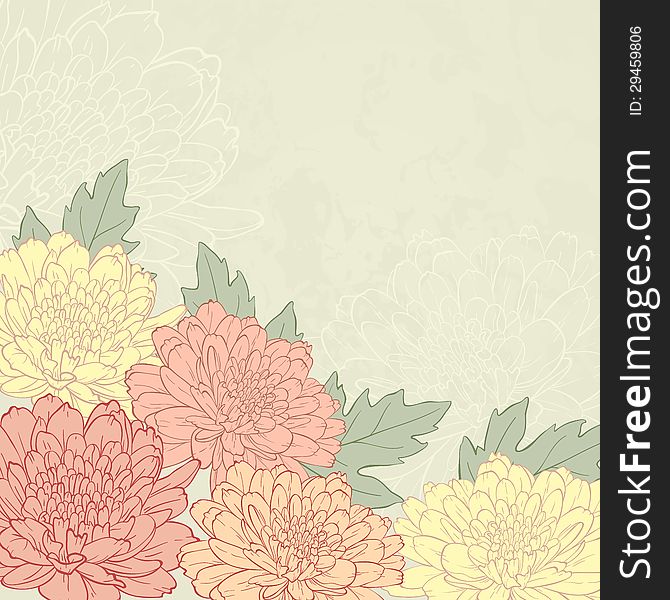 Vector illustration for greeting card with chrysanthemum. Vector illustration for greeting card with chrysanthemum.