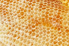 Honeycomb Stock Photography