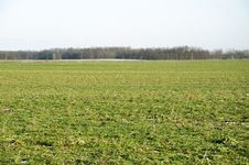 Fields Royalty Free Stock Image Fields Royalty Free Stock Image