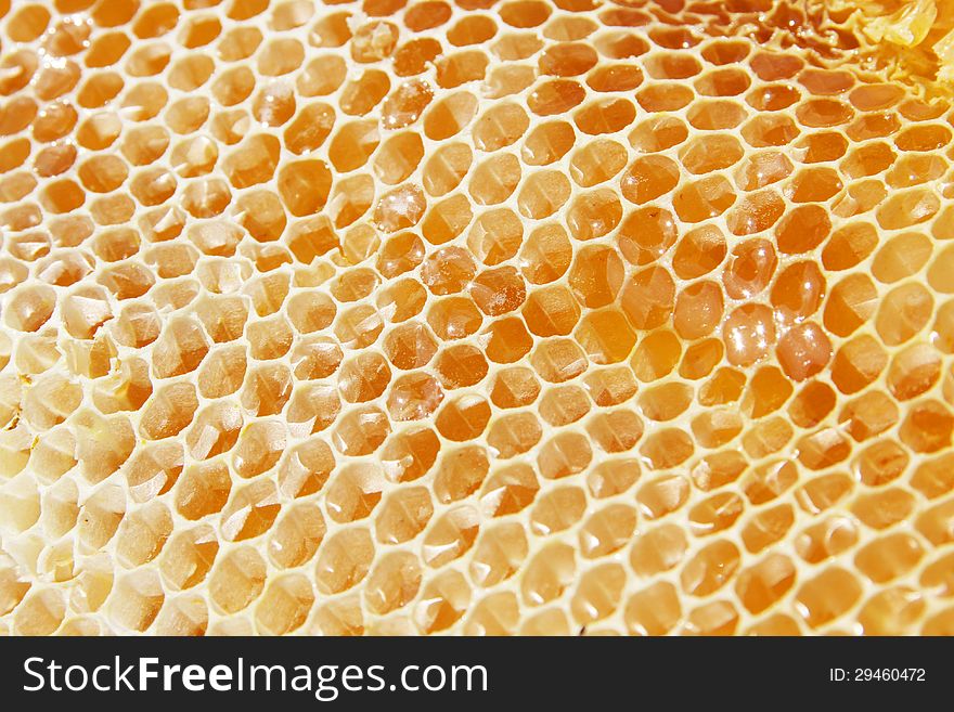 Honeycomb