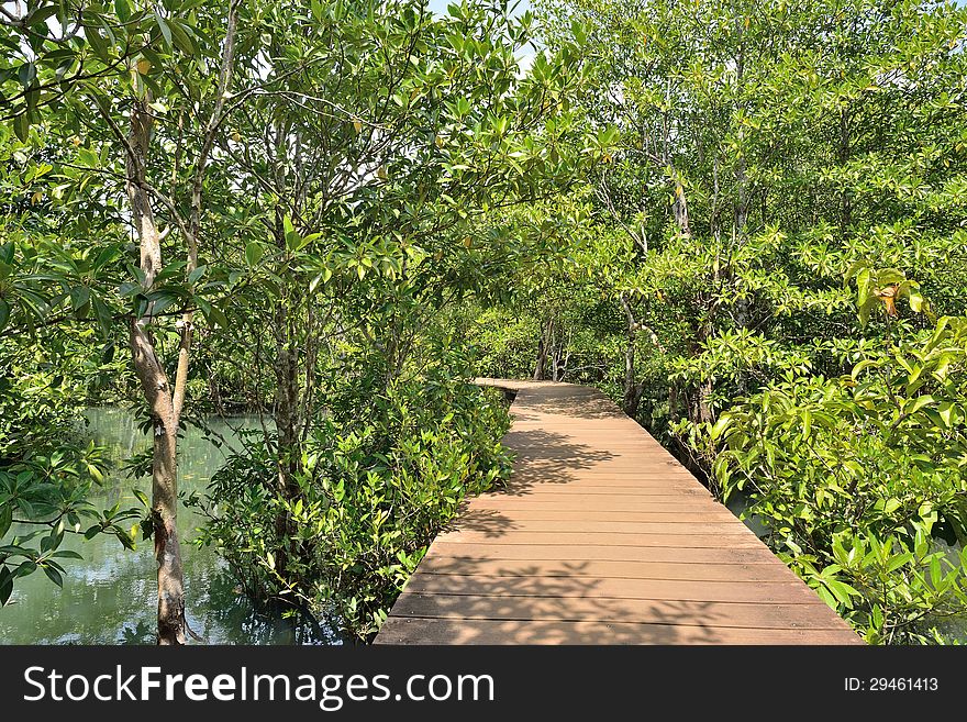 Wood path way among the Mangrove forest, Thailand. Wood path way among the Mangrove forest, Thailand