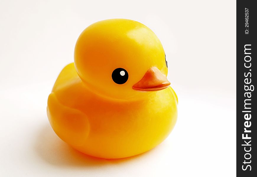 Duck Toy