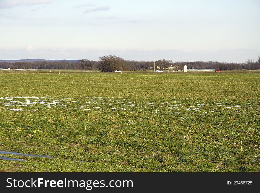 Field with snow in winter