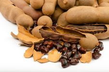 Tamarind &x28;Tamarindus Indica&x29; Stock Photo Tamarind &x28;Tamarindus Indica&x29; Stock Photo