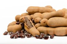 Tamarind &x28;Tamarindus Indica&x29; Stock Photography Tamarind &x28;Tamarindus Indica&x29; Stock Photography