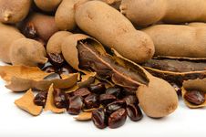 Tamarind &x28;Tamarindus Indica&x29; Royalty Free Stock Image Tamarind &x28;Tamarindus Indica&x29; Royalty Free Stock Image