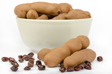 Tamarind &x28;Tamarindus Indica&x29; Stock Image Tamarind &x28;Tamarindus Indica&x29; Stock Image