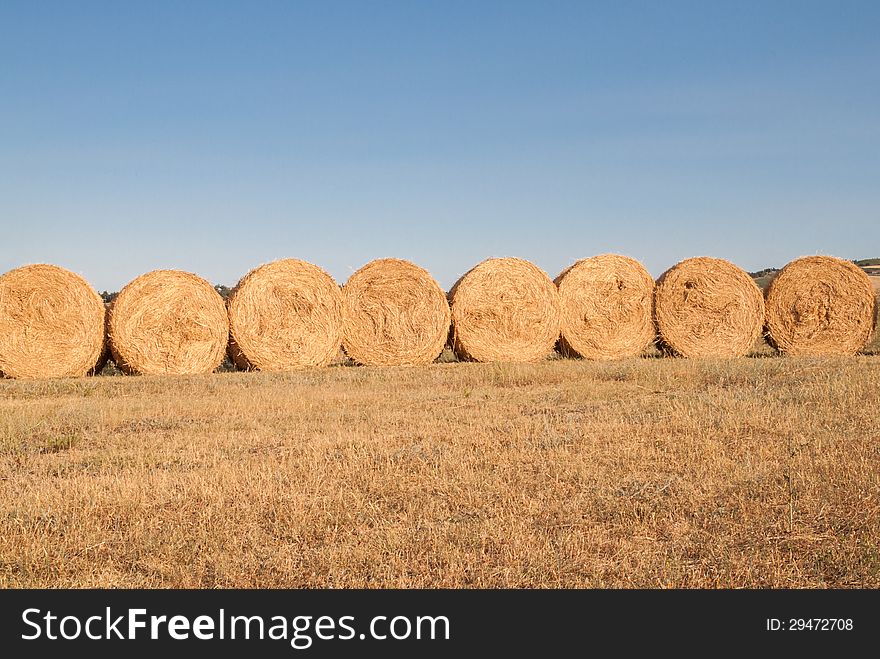 Row Of Bales Of Hay