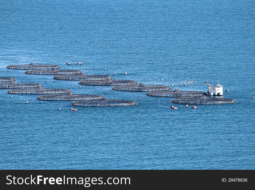 Fishing boat working in fish heaven