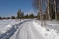 Snowy Road At Forest Edge Stock Image Snowy Road At Forest Edge Stock Image