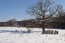 Village Outskirts On Winter Sunny Day Royalty Free Stock Images