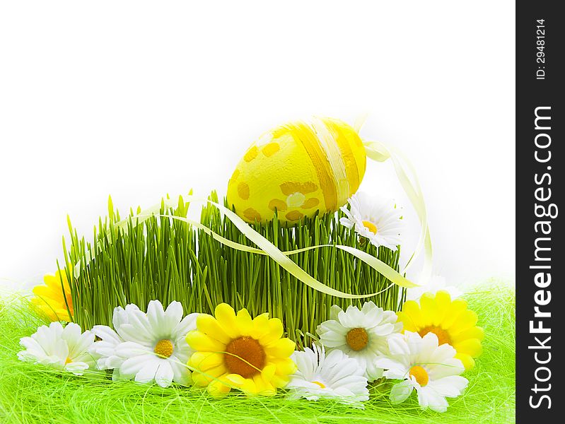 Easter Egg background wooden card spring flower grass