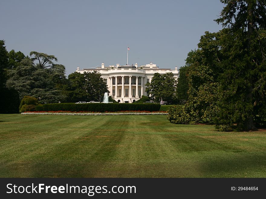 The White House in the summer with a lot of green