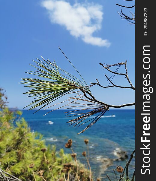Vegetation on small Cameo Island, Zakynthos, Greece