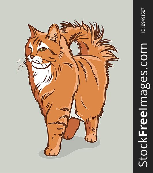 Vector illustration of persian cat