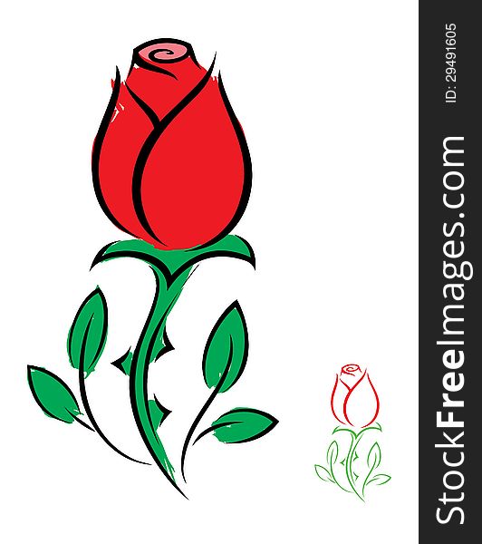 Vector illustration of red rose