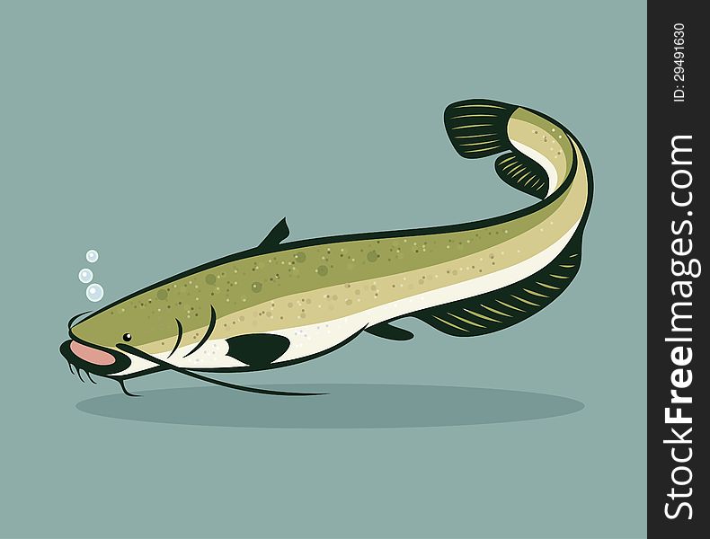 Vector illustration of catfish - cartoon