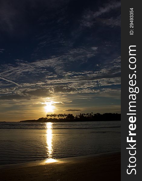 Early sunrise over palm trees in the Dominican Republic