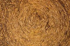 Rolled Hay Royalty Free Stock Photo Rolled Hay Royalty Free Stock Photo