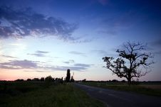 Sunset With A Tree Stock Photography