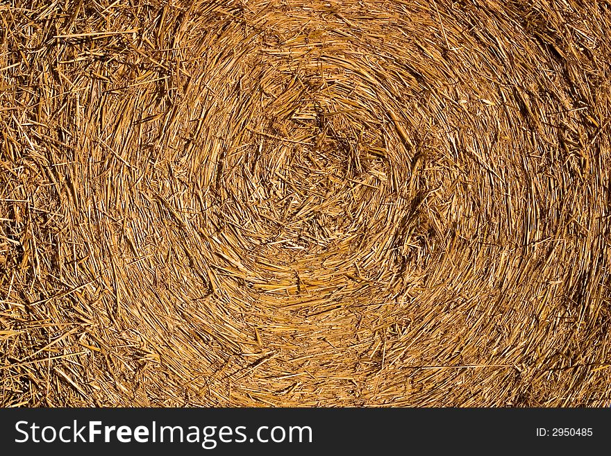 Close-up of a roll of hay. Close-up of a roll of hay