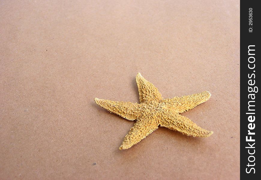 Starfish on brown paper background