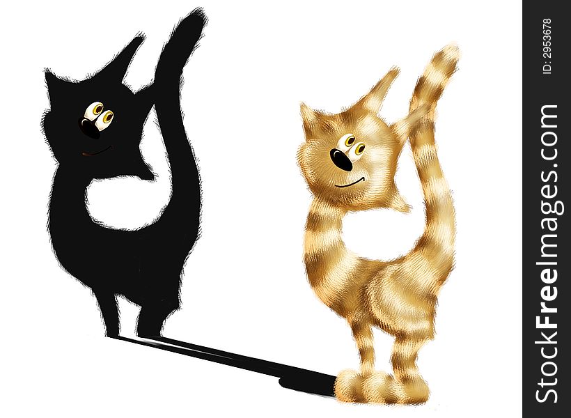 The cute cat and its shadow on the white background. Fan illustration. The cute cat and its shadow on the white background. Fan illustration.