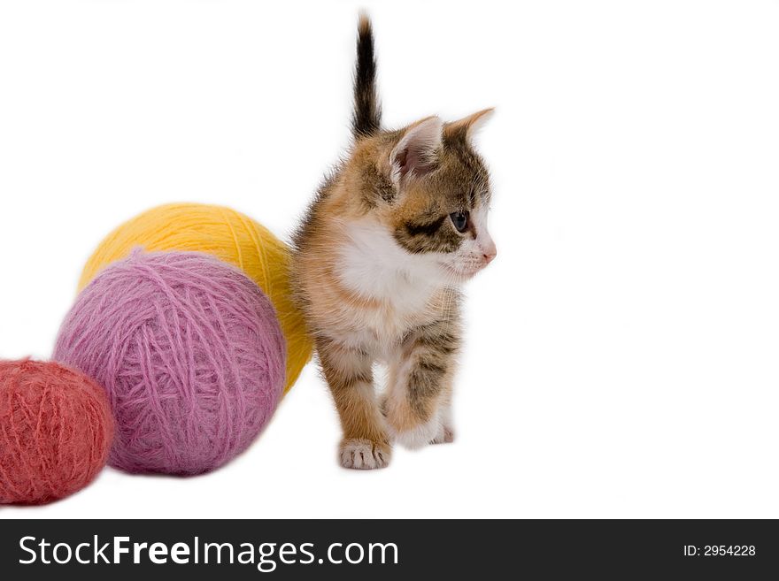 Kitten and some ball of yarns, isolated