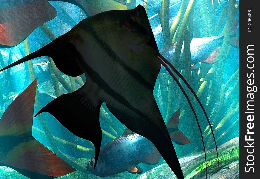 Illustration of  marine  life in acquarium. Illustration of  marine  life in acquarium