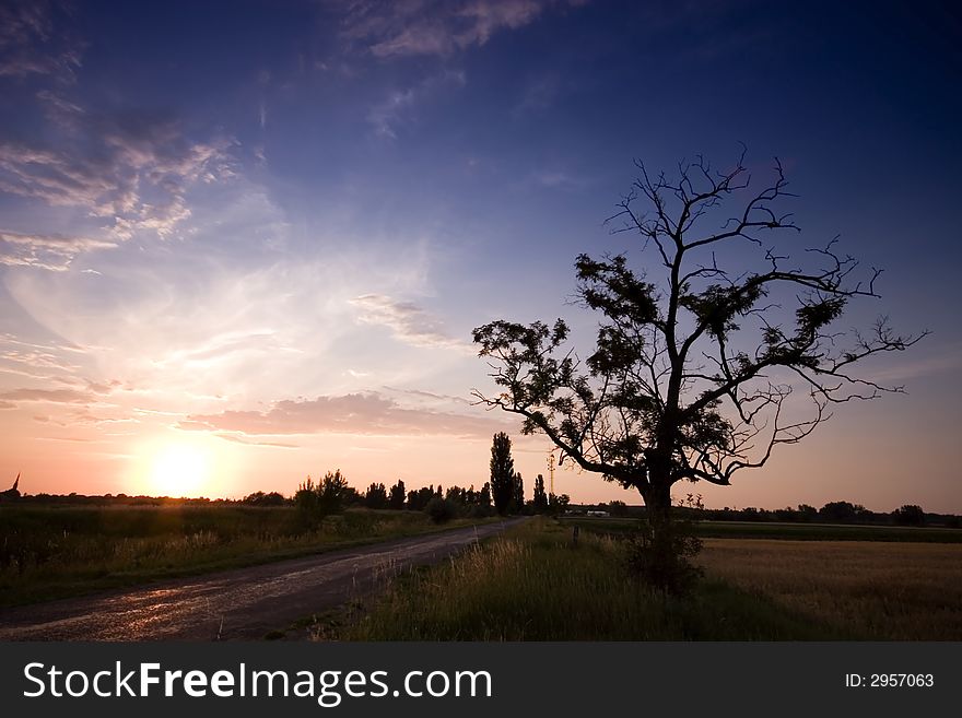 Amazing sunset at the lonely tree. Amazing sunset at the lonely tree